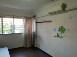 bukit-batok-street-21 photo thumbnail #10